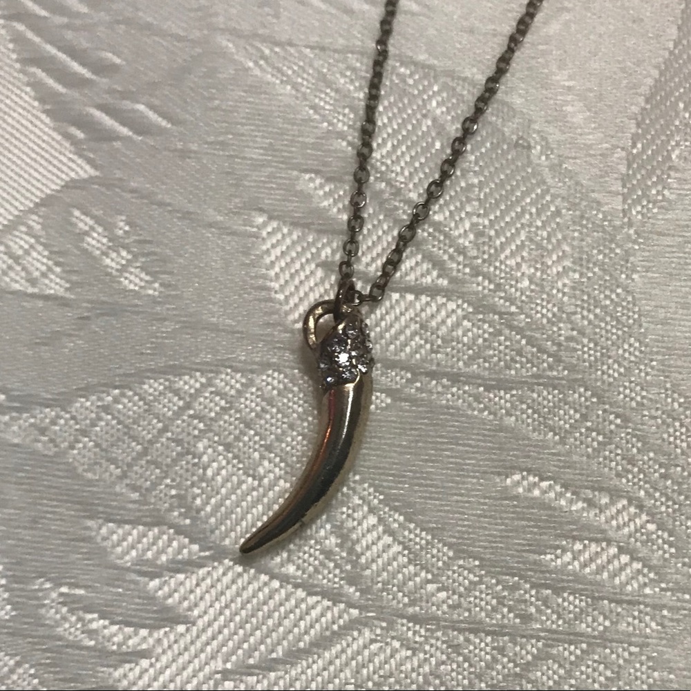 Horn necklace